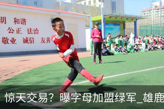 惊天交易？曝字母加盟绿军 雄鹿为布朗寻找第三方